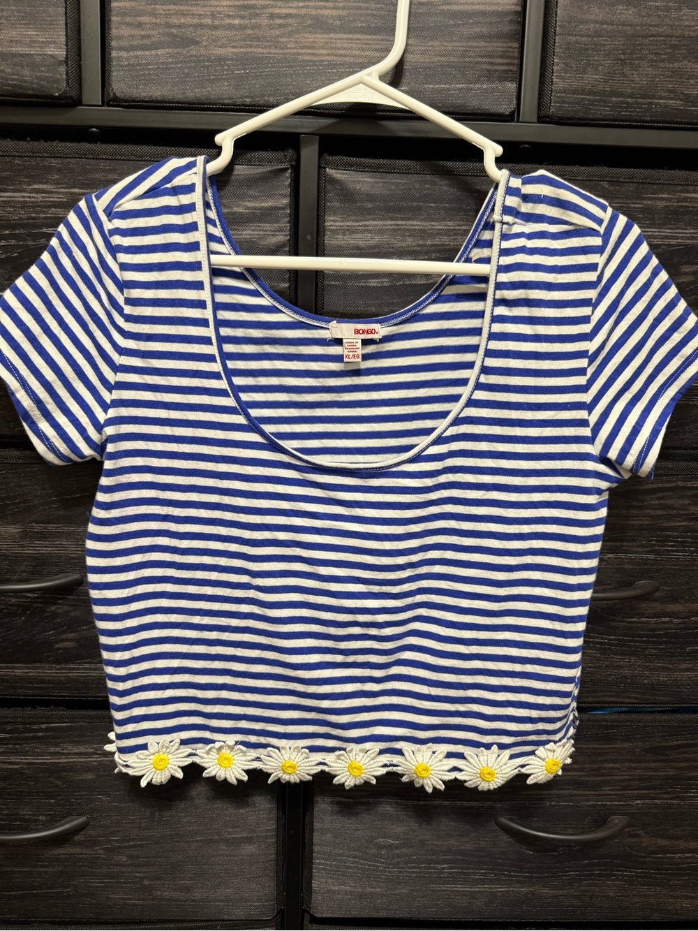 No Boundaries Blue & White Striped Scoop-Neck Crop Top with Daisy Trim